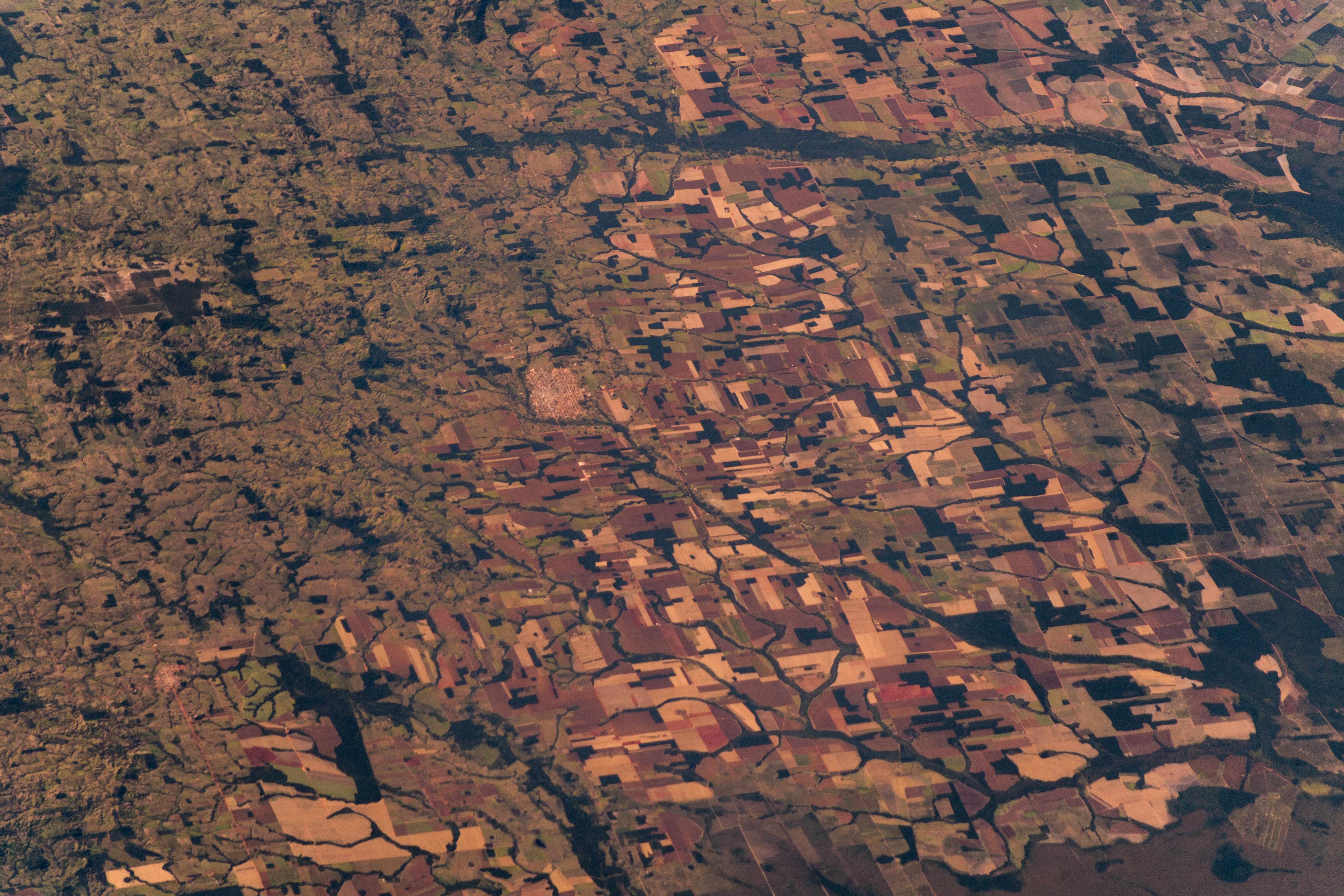 An aerial view of part of the Amazon rainforest (file photo).